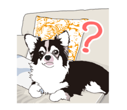 Chihuahua Coco & Louis and Friends vol.1 sticker #6371806