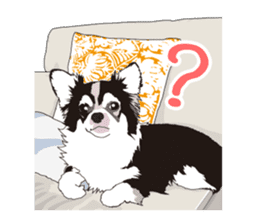 Chihuahua Coco & Louis and Friends vol.1 sticker #6371806