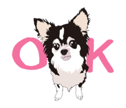 Chihuahua Coco & Louis and Friends vol.1 sticker #6371807