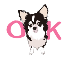 Chihuahua Coco & Louis and Friends vol.1 sticker #6371807