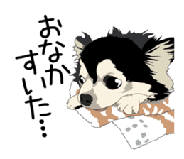 Chihuahua Coco & Louis and Friends vol.1 sticker #6371808