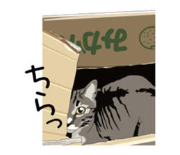 Chihuahua Coco & Louis and Friends vol.1 sticker #6371812