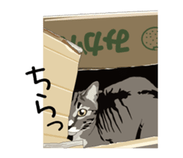 Chihuahua Coco & Louis and Friends vol.1 sticker #6371812