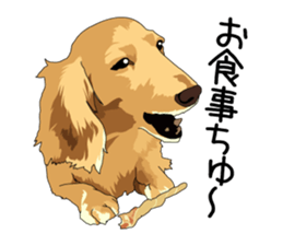 Chihuahua Coco & Louis and Friends vol.1 sticker #6371814