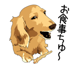 Chihuahua Coco & Louis and Friends vol.1 sticker #6371814