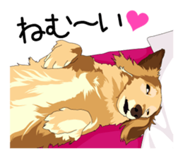 Chihuahua Coco & Louis and Friends vol.1 sticker #6371815