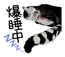 Chihuahua Coco & Louis and Friends vol.1 sticker #6371816