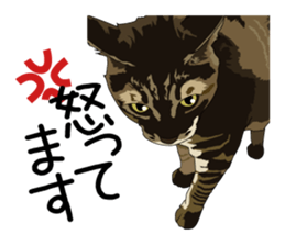 Chihuahua Coco & Louis and Friends vol.1 sticker #6371817