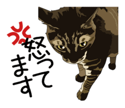 Chihuahua Coco & Louis and Friends vol.1 sticker #6371817