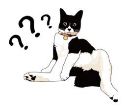 Chihuahua Coco & Louis and Friends vol.1 sticker #6371819