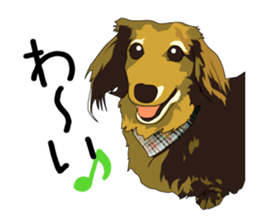 Chihuahua Coco & Louis and Friends vol.1 sticker #6371820