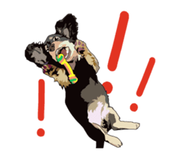 Chihuahua Coco & Louis and Friends vol.1 sticker #6371821