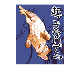 Chihuahua Coco & Louis and Friends vol.1 sticker #6371822