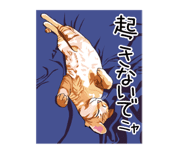 Chihuahua Coco & Louis and Friends vol.1 sticker #6371822