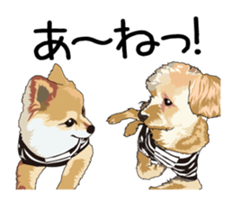 Chihuahua Coco & Louis and Friends vol.1 sticker #6371825