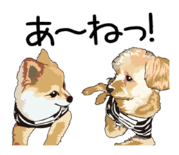Chihuahua Coco & Louis and Friends vol.1 sticker #6371825