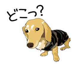 Chihuahua Coco & Louis and Friends vol.1 sticker #6371827