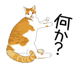 Chihuahua Coco & Louis and Friends vol.1 sticker #6371828