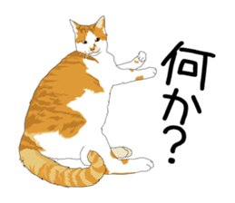 Chihuahua Coco & Louis and Friends vol.1 sticker #6371828