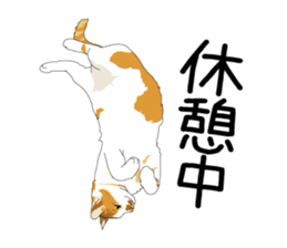 Chihuahua Coco & Louis and Friends vol.1 sticker #6371829