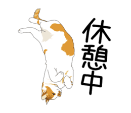 Chihuahua Coco & Louis and Friends vol.1 sticker #6371829