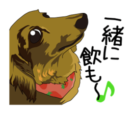 Chihuahua Coco & Louis and Friends vol.1 sticker #6371830