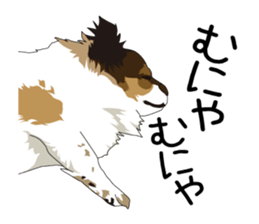 Chihuahua Coco & Louis and Friends vol.1 sticker #6371831