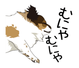 Chihuahua Coco & Louis and Friends vol.1 sticker #6371831