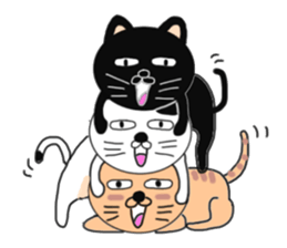 cat cat cats sticker #6373034