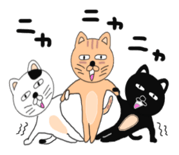 cat cat cats sticker #6373037