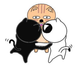 cat cat cats sticker #6373047