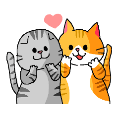 Cat Standing ear of cat and lop-eared