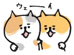 Cat with an eyebrow sticker #6374913