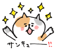 Cat with an eyebrow sticker #6374915