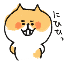 Cat with an eyebrow sticker #6374916