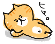 Cat with an eyebrow sticker #6374918