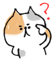 Cat with an eyebrow sticker #6374922