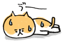 Cat with an eyebrow sticker #6374933