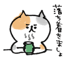 Cat with an eyebrow sticker #6374934