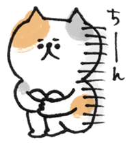 Cat with an eyebrow sticker #6374937