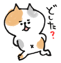 Cat with an eyebrow sticker #6374947