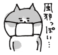 Cat with an eyebrow sticker #6374948