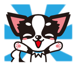 Cute Chihuahuas sticker sticker #6375517