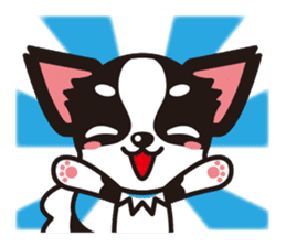 Cute Chihuahuas sticker sticker #6375517