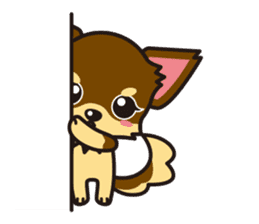 Cute Chihuahuas sticker sticker #6375528
