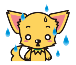 Cute Chihuahuas sticker sticker #6375542