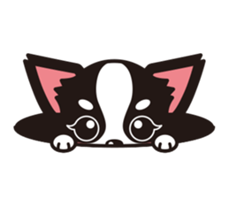 Cute Chihuahuas sticker sticker #6375544