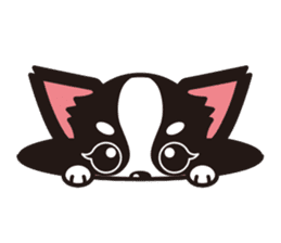 Cute Chihuahuas sticker sticker #6375544