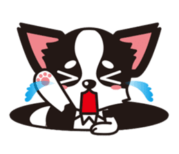 Cute Chihuahuas sticker sticker #6375545