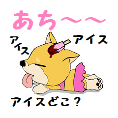 Sticker  of the dog wared a swimsuit